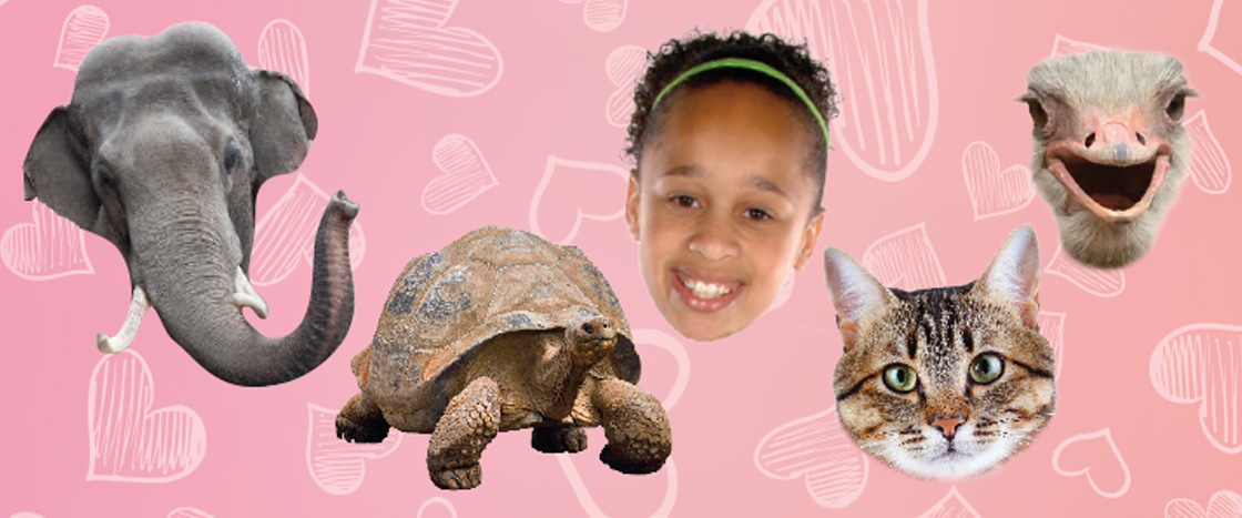 Image of an elephant, tortoise, human, cat, and ostrich