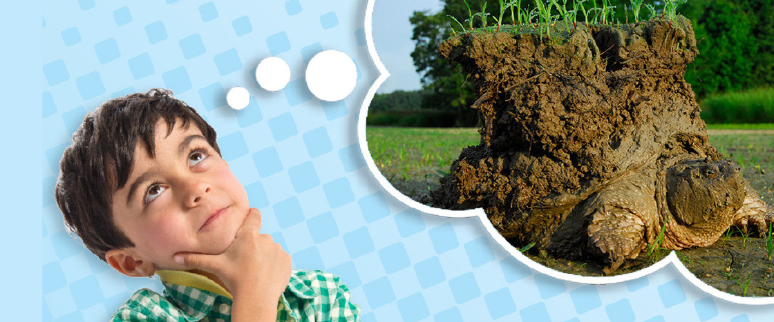 Image of a kid thinking about a turtle carrying a large mud pile on its back