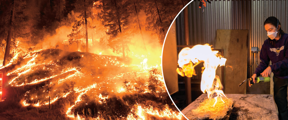 Image of a large wildfire and image of a scientist testing a controlled fire in a lab